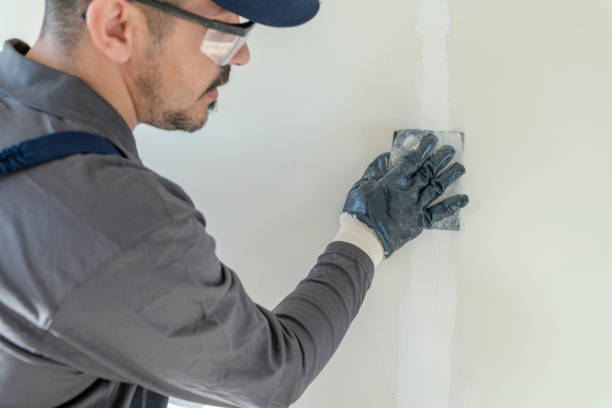 Best Mold-Related Health Consultation  in Pontoon Beach, IL