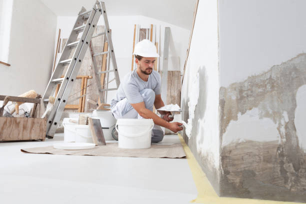 Best Mold Damage Restoration  in Pontoon Beach, IL