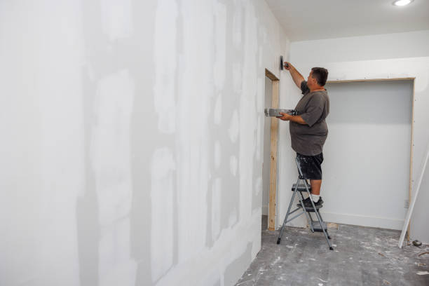 Best Comprehensive Air Testing for Mold Contaminants  in Pontoon Beach, IL