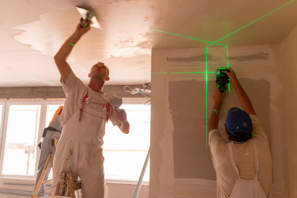 Best Asbestos and Lead Testing During Mold Inspection  in Pontoon Beach, IL